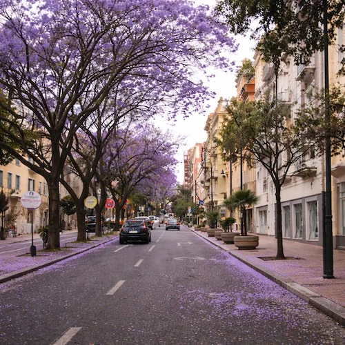 Cagliari – contesto urbano e residenziale per consulenza mutuo in Sardegna